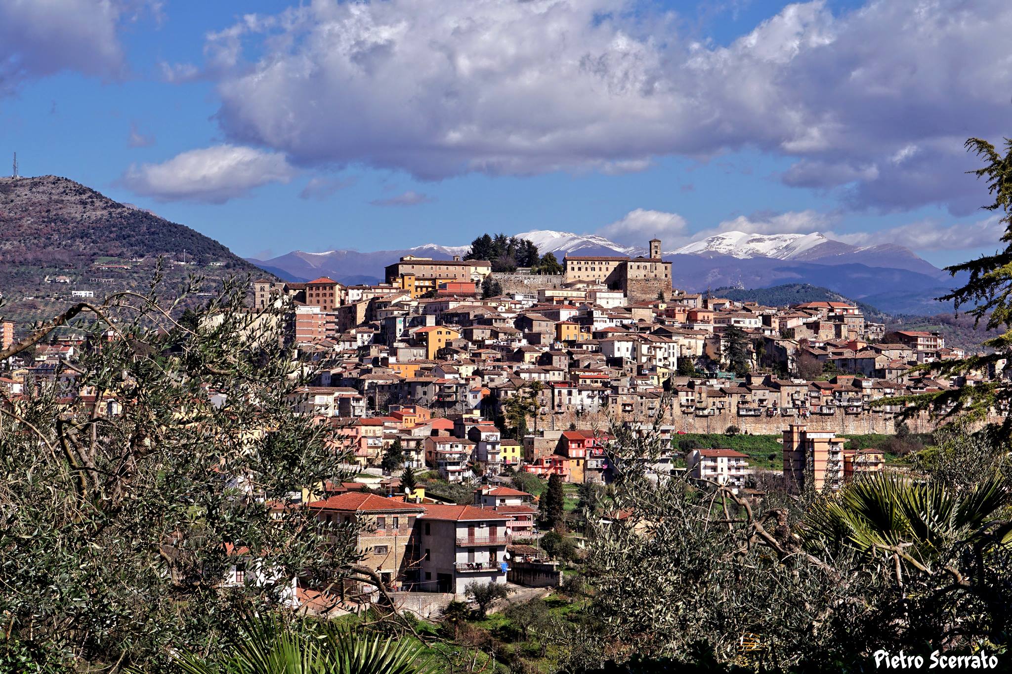 ferentino pan