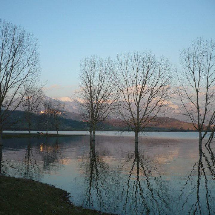 lago cant 2