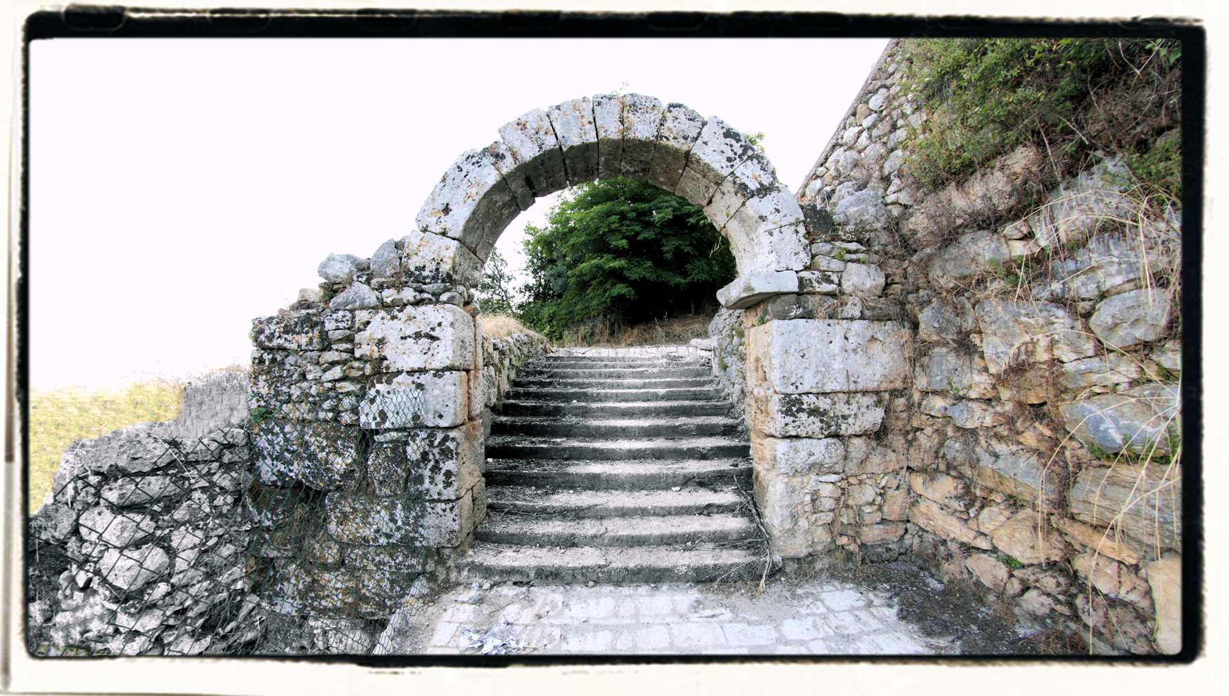 ambrogio pettorini ferentino 4